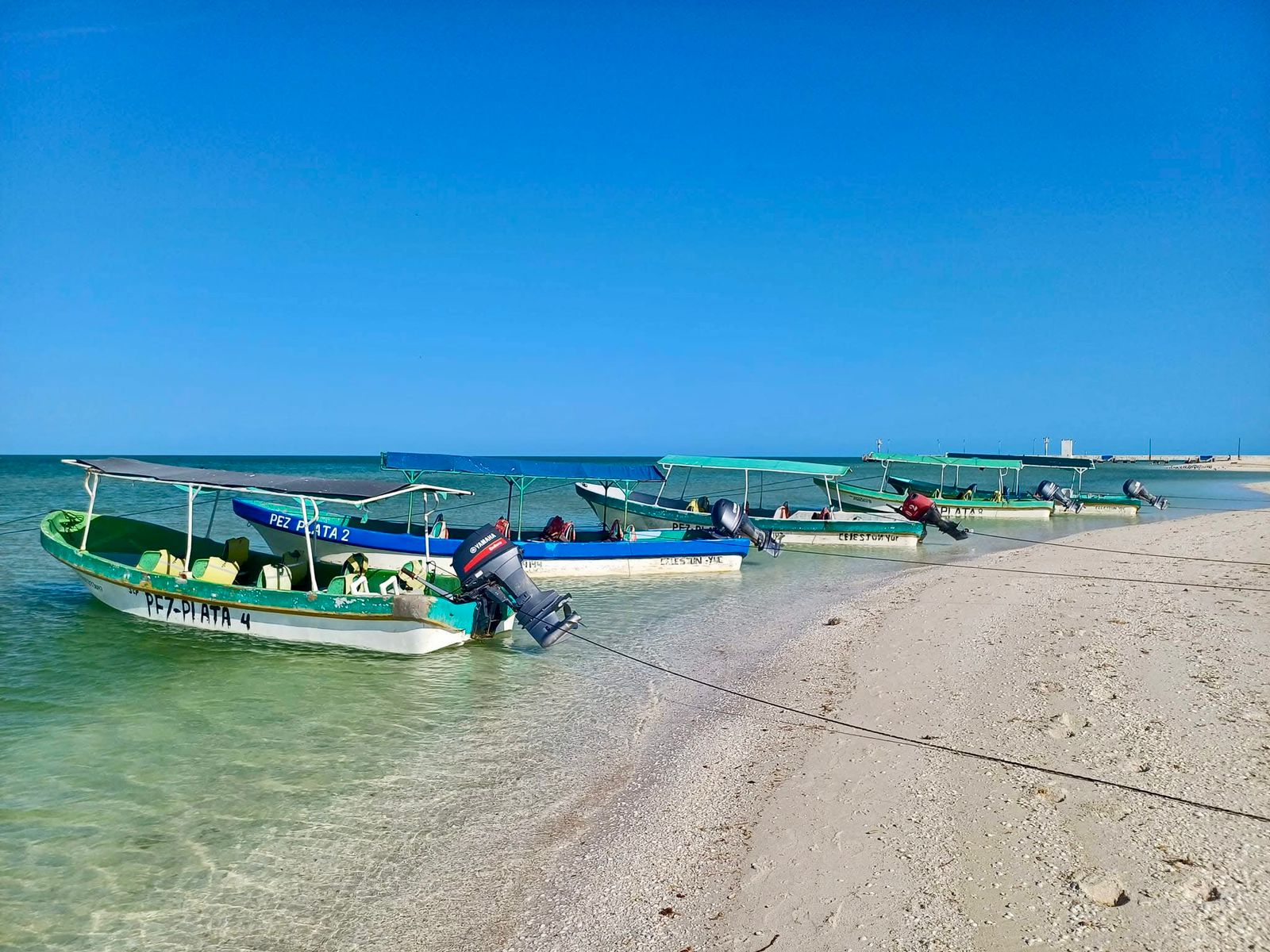 Playa Celestún